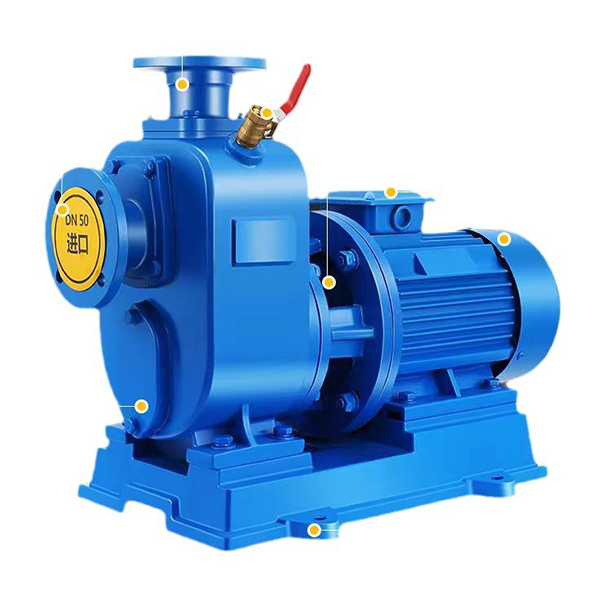 Bomba de aguas residual sin adornos de la serie ZW